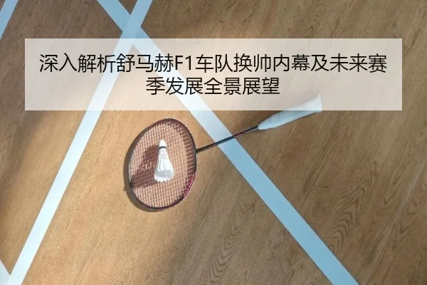 深入解析舒马赫F1车队换帅内幕及未来赛季发展全景展望
